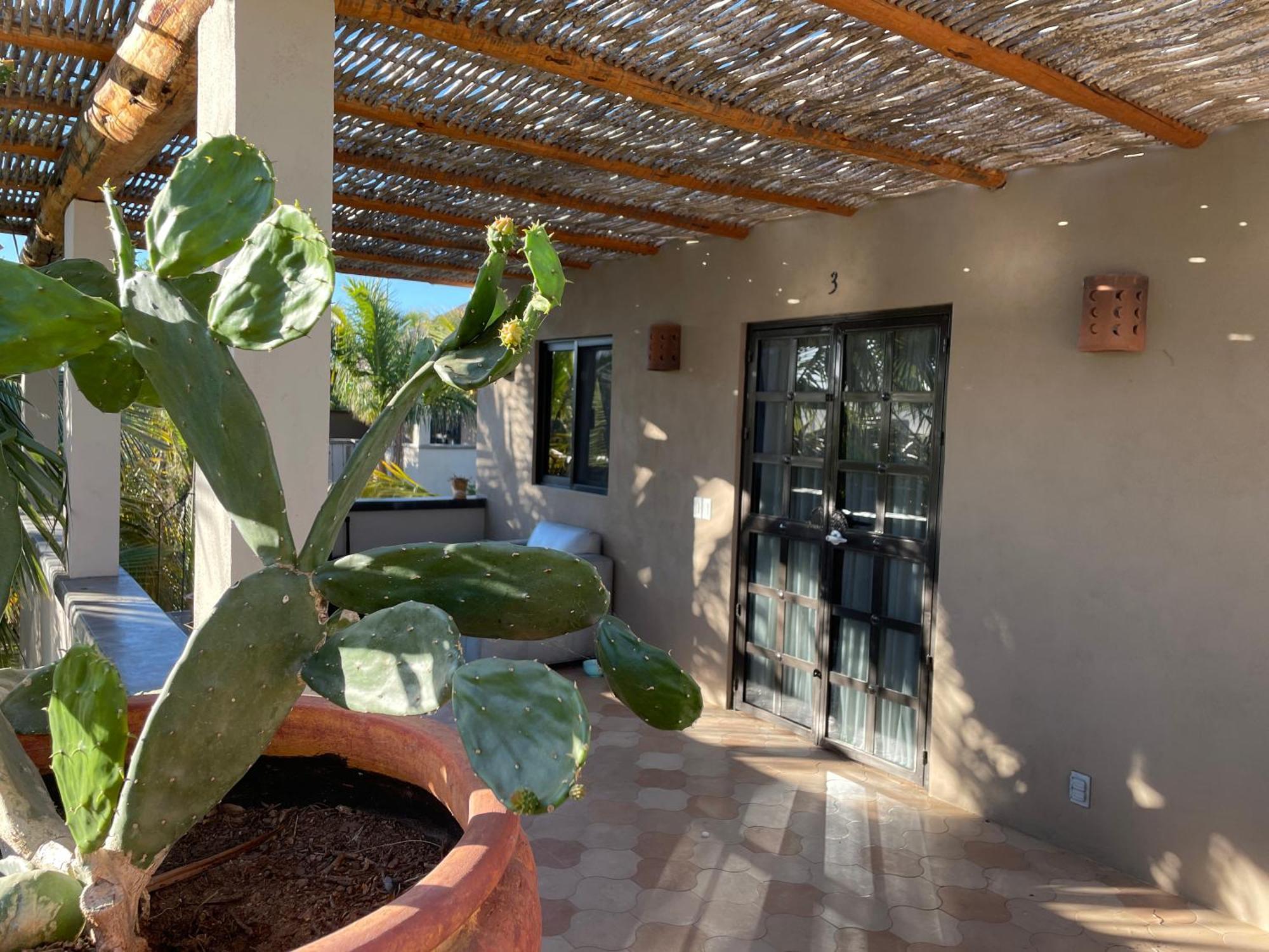 Pure Baja Private Suites-Upscale Property With Infinity Pool And Lush Gardens El Pescadero (Baja California Sur) Exterior foto